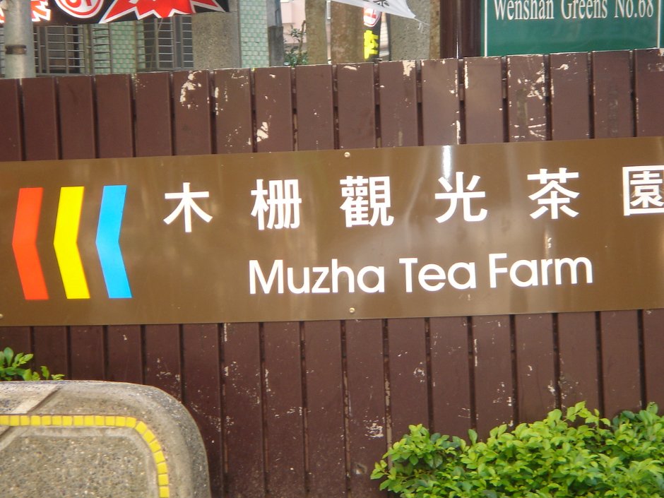 木柵觀光茶園 攝影：余燕鳳