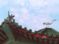 涼庭屋簷<br/> 攝影：林山景