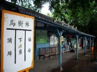 乌树林车站<br/> 摄影：Eva隨手拍