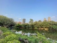 大安森林公園<br/> 攝影：Eva隨手拍