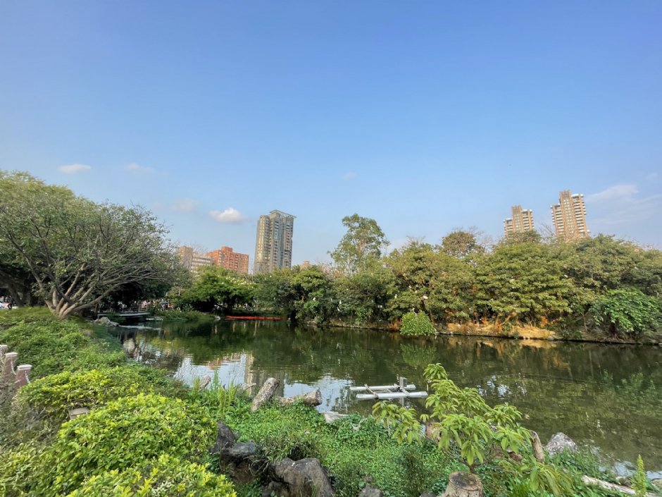 大安森林公園 攝影：Eva隨手拍