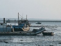 四湖沙洲上的漁船<br/> 攝影：雲林縣政府