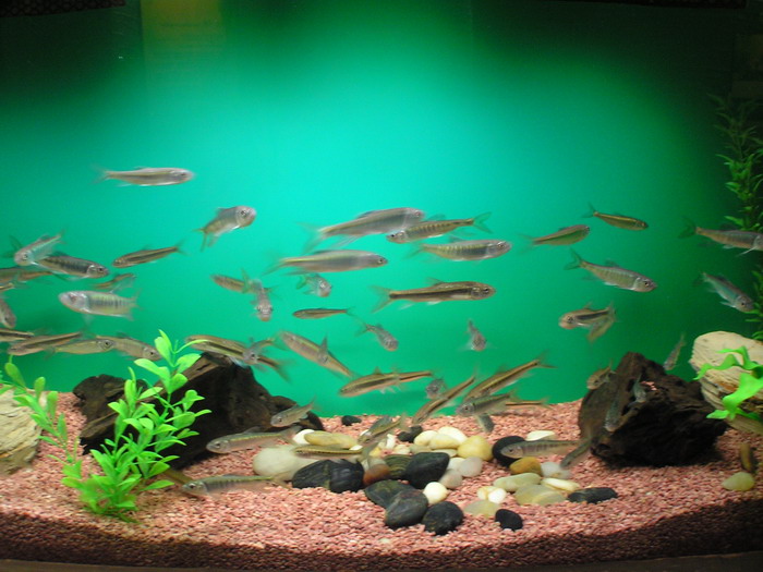 上海海洋水族館 攝影：陳銘祥