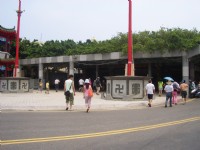 通樑古榕<br/> 攝影：鄭瑄頤