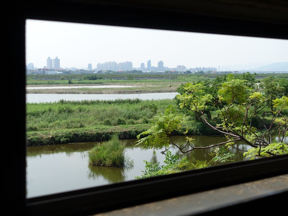 關渡自然公園 攝影：meiyin