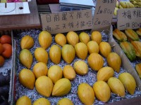 水往上流奇觀旁販賣部<br/> 攝影：旅遊王攝影組