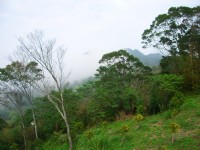 八角崠山<br/> 攝影：老山羊資訊網