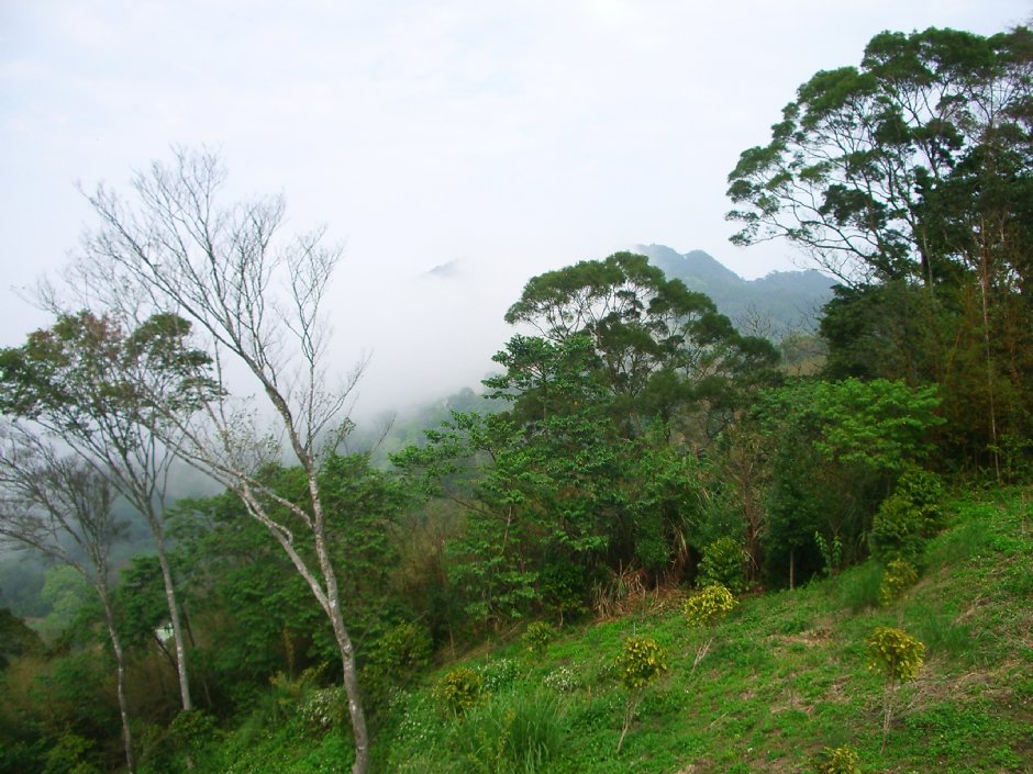 八角崠山 攝影：老山羊資訊網