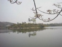 倒影<br/> 攝影：郭香妙