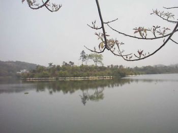 倒影 攝影：郭香妙
