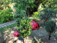 坪林石雕公園<br/> 攝影：Louis提供