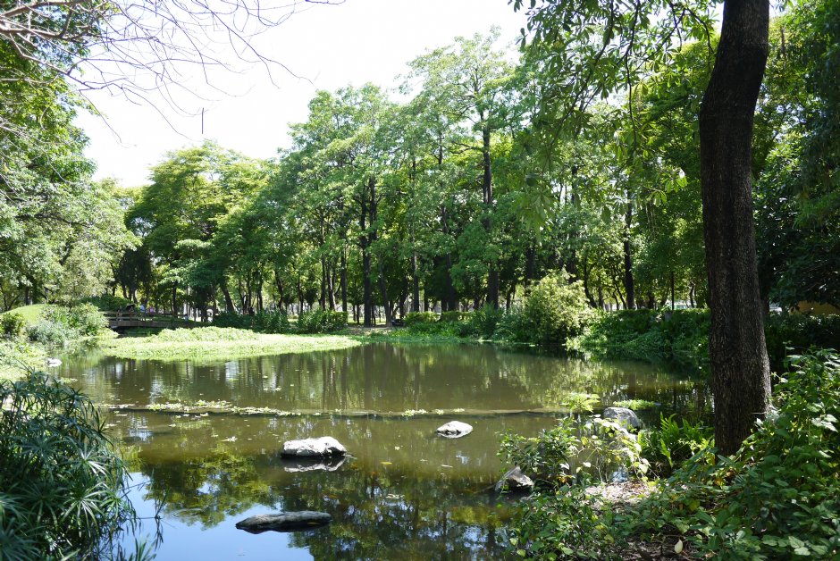 大東濕地公園 攝影：旅遊王攝影組