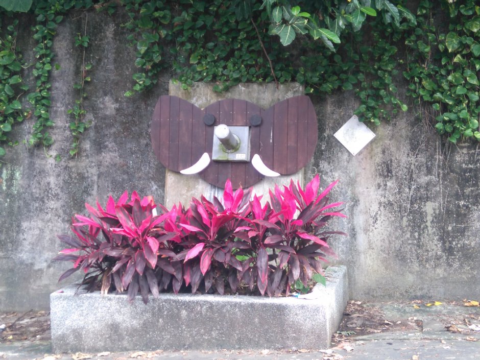 象山自然步道 攝影：Lu