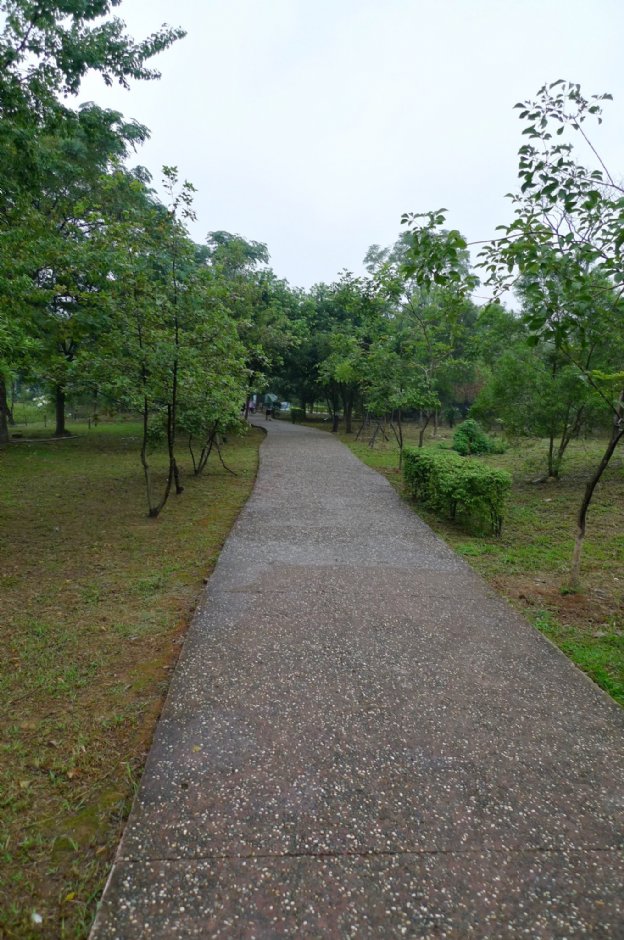 八德埤塘生態公園 攝影：Eva隨手拍