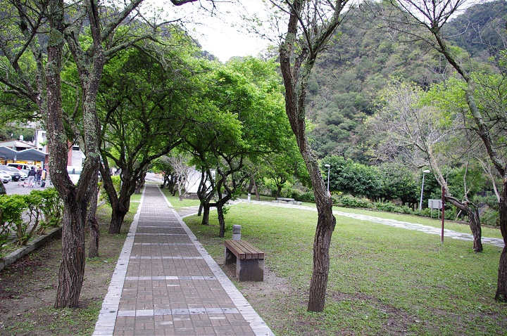 梅園 攝影：Eva隨手拍