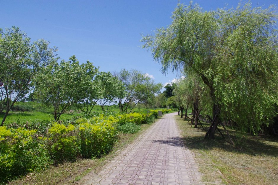 舊鐵橋濕地生態公園201407攝 攝影：Eva隨手拍