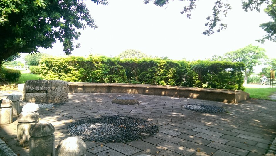 華江雁鴨自然公園 攝影：Eva隨手拍