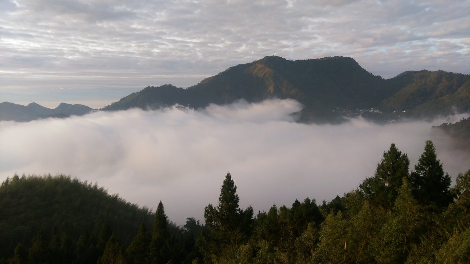 阿里山雲海 攝影：晏伶