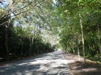 武陵綠色隧道<br/> 攝影：旅遊王攝影組