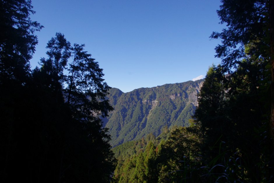 水山巨木步道 攝影：Eva隨手拍