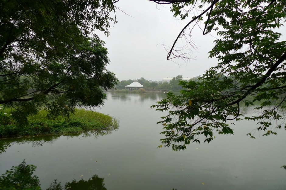 八德埤塘生態公園 攝影：Eva隨手拍