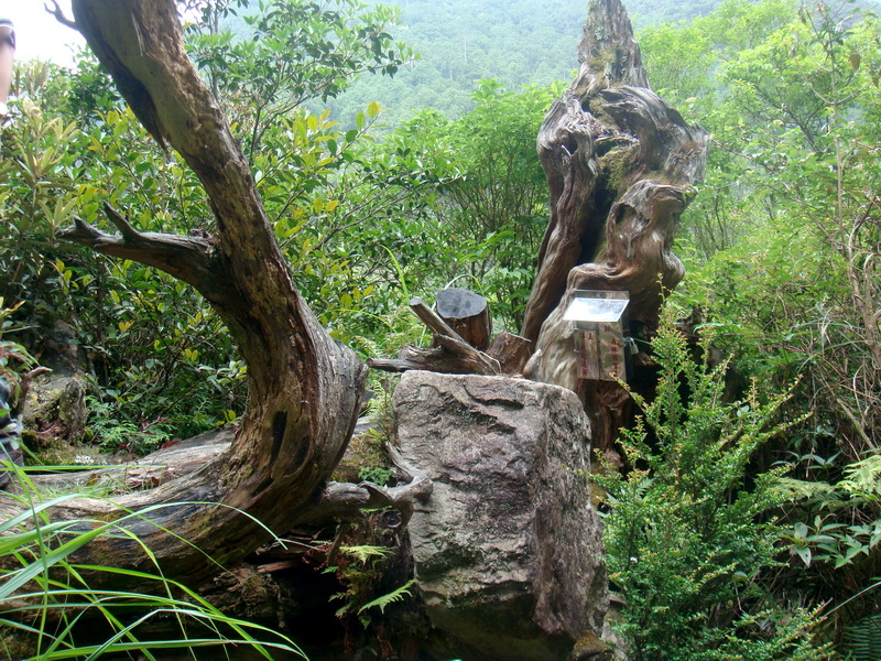 天涯若比鄰 攝影：余燕鳳