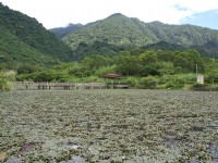 羅山大魚池 (2010.09 攝)<br/> 攝影：Eva隨手拍