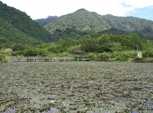羅山遊憩區(羅山有機村)-羅山大魚池 (2010.09 攝)