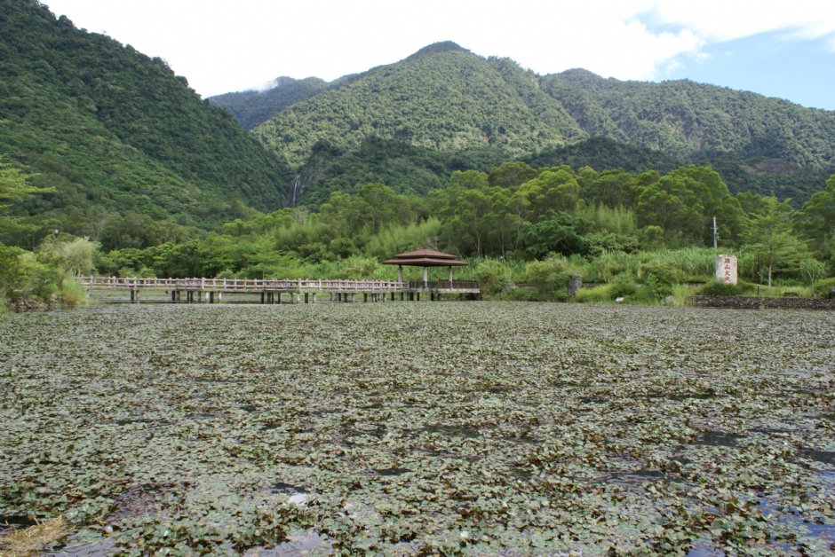 羅山大魚池 (2010.09 攝) 攝影：Eva隨手拍