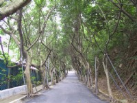 新莊青年公園