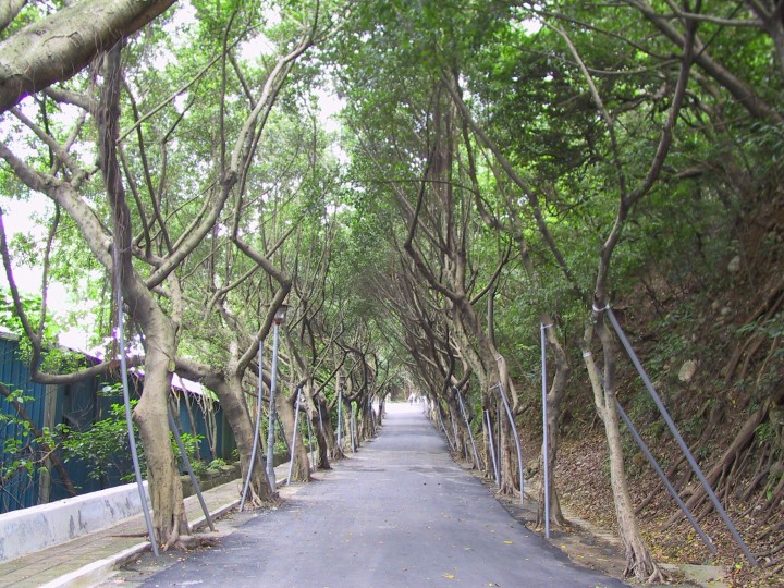 步道 攝影：kavin