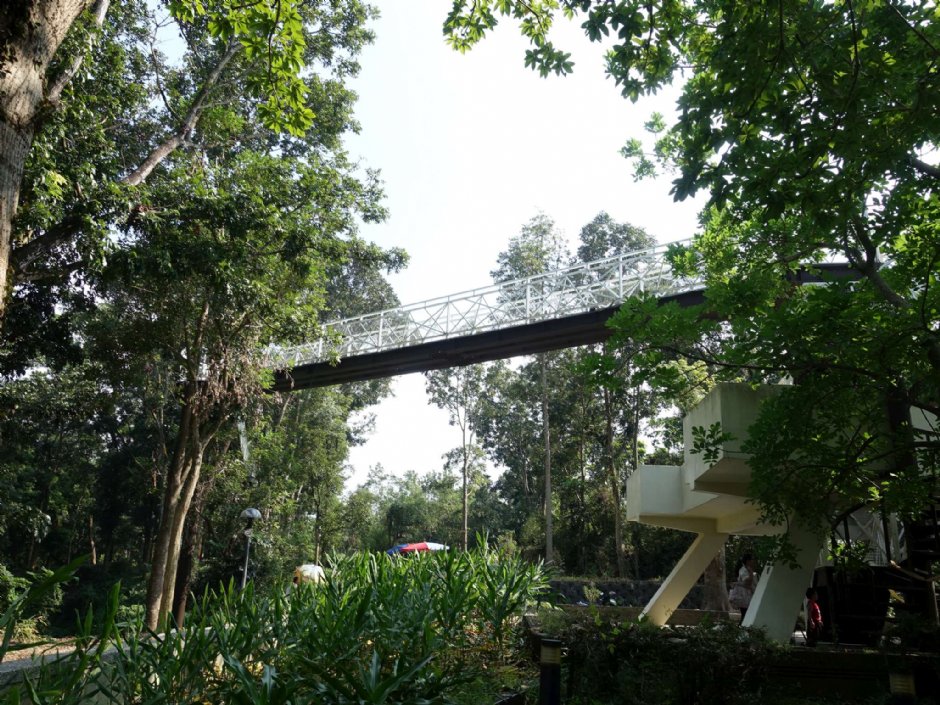 竹崎親水公園(天空走廊) 攝影：陳美吟