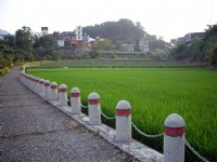 小粗坑古道<br/> 攝影：Eva隨手拍