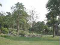美麗的後花園<br/> 攝影：張弘穎