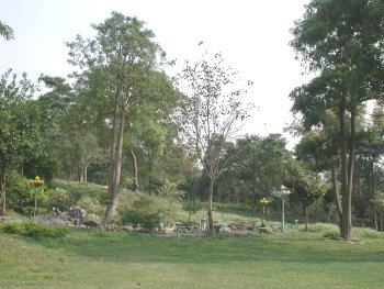 美麗的後花園 攝影：張弘穎