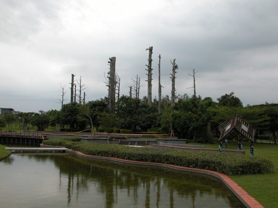 池邊的枯木造景 攝影：大寶-郡汝