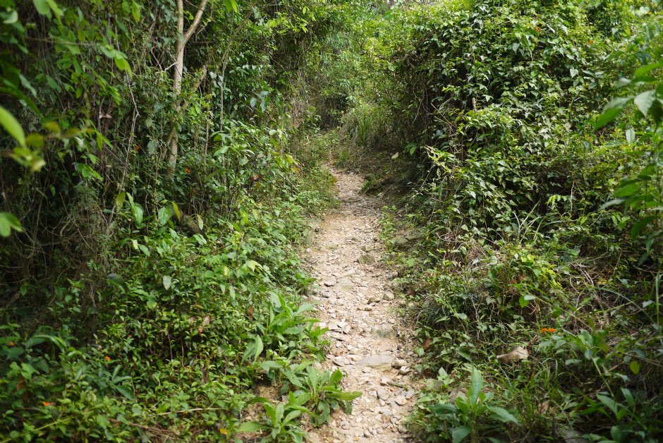 尾寮山步道 攝影：旅遊王攝影組