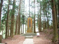 樹靈塔<br/> 攝影：老山羊資訊網