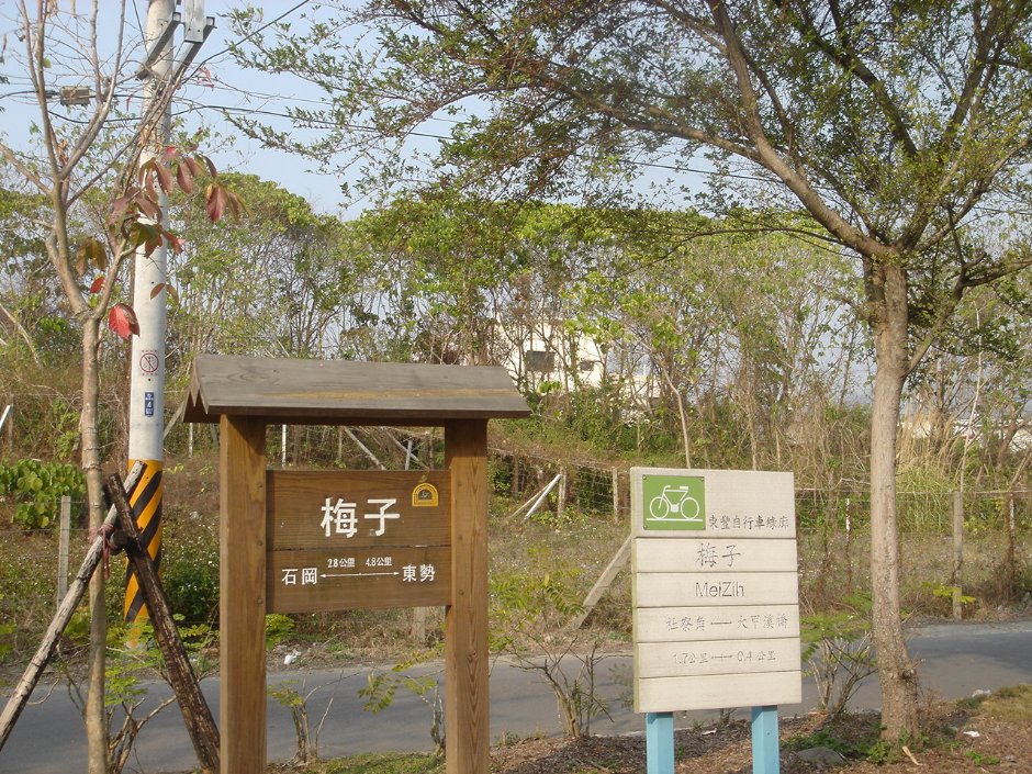 梅子 攝影：陳美吟