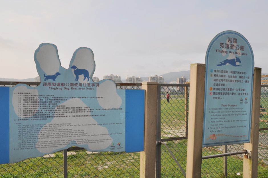 迎風狗運動公園 攝影：amo