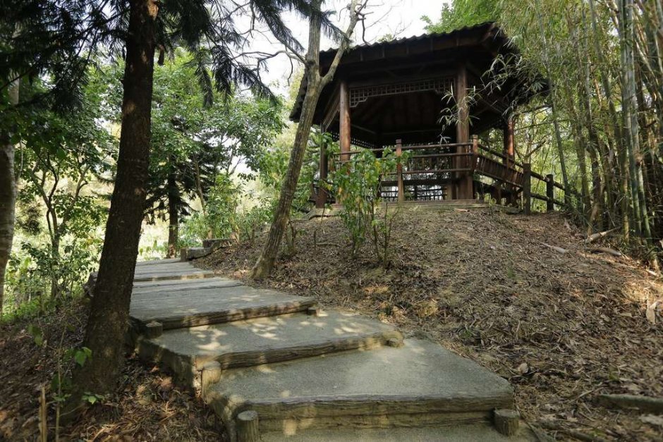 虎形山公園 攝影：照片來源_台南市觀旅局