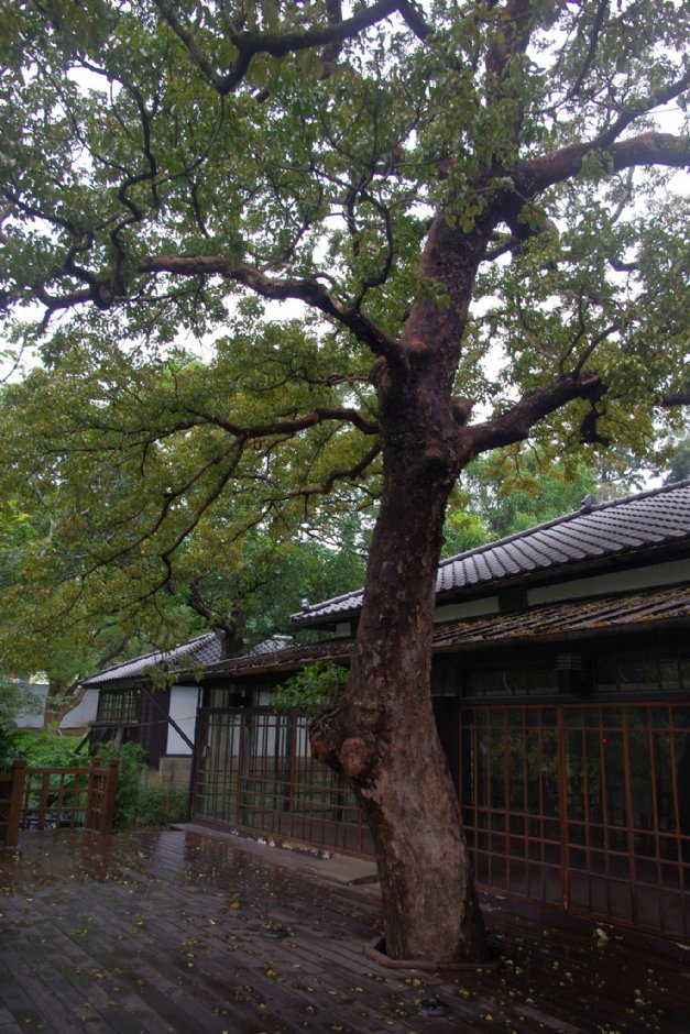 新竹公園湖畔料亭 攝影：Eva隨手拍