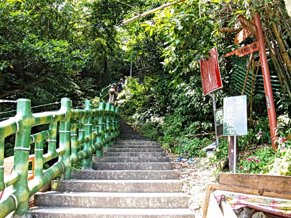 賞楓步道 攝影：amo