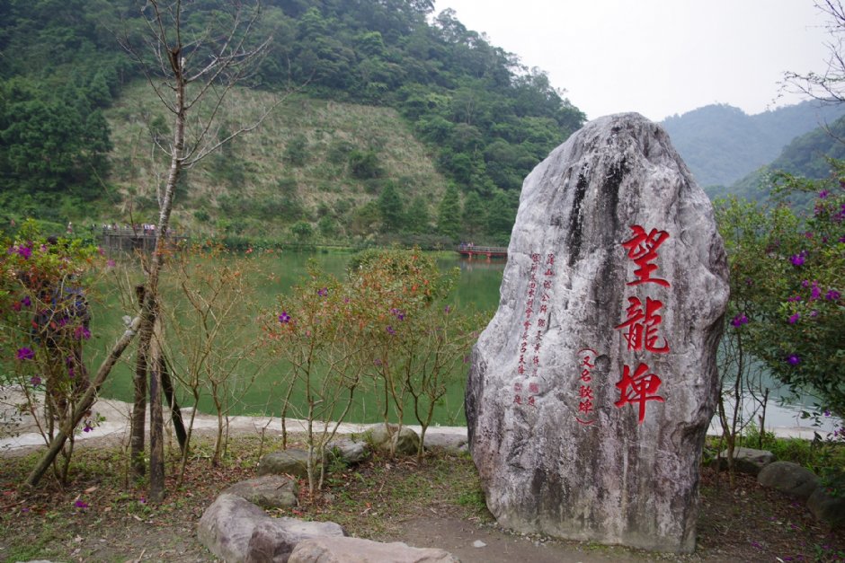 望龍埤 攝影：Eva隨手拍