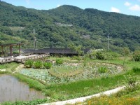 后湖湿地-同心池<br/> 摄影：陳美吟