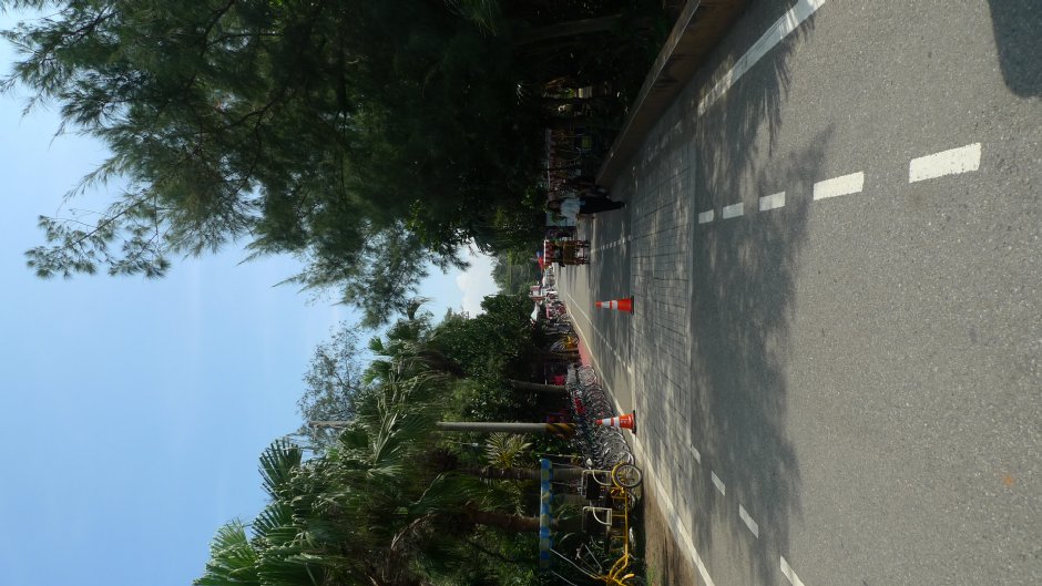 新屋綠色走廊自行車道 攝影：Eva隨手拍