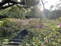 泰安瀑布<br/> 攝影：Eva隨手拍