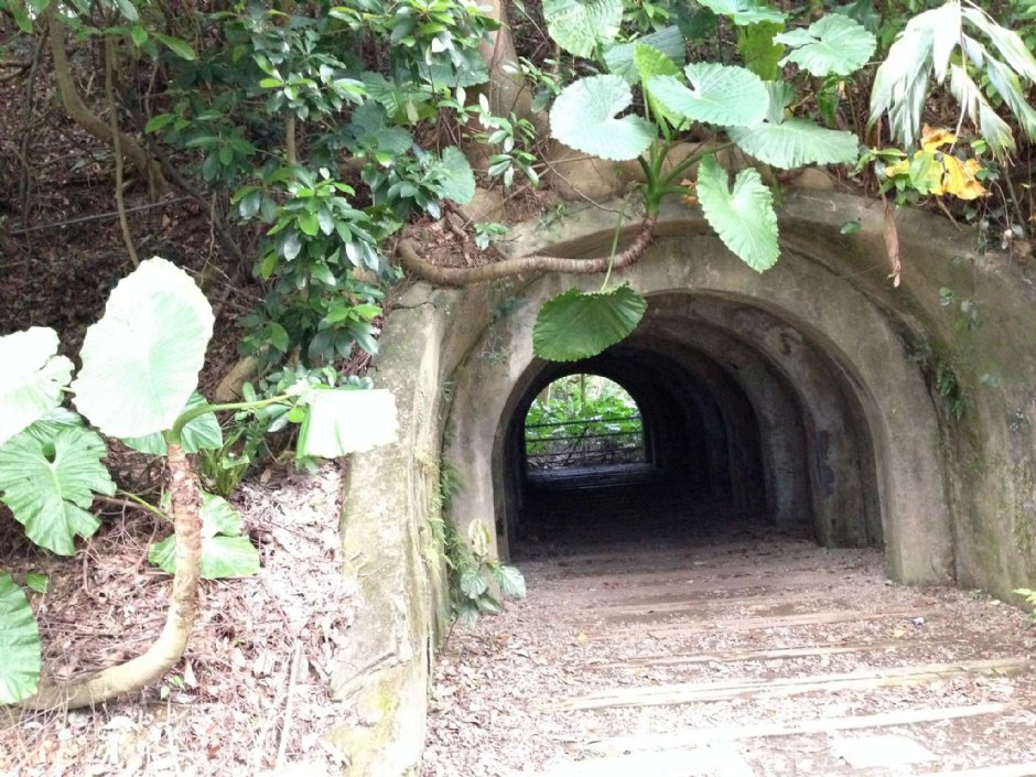 富陽自然生態公園 攝影：陳皮梅