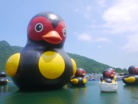 鯉魚潭<br/> 攝影：旅遊王攝影組