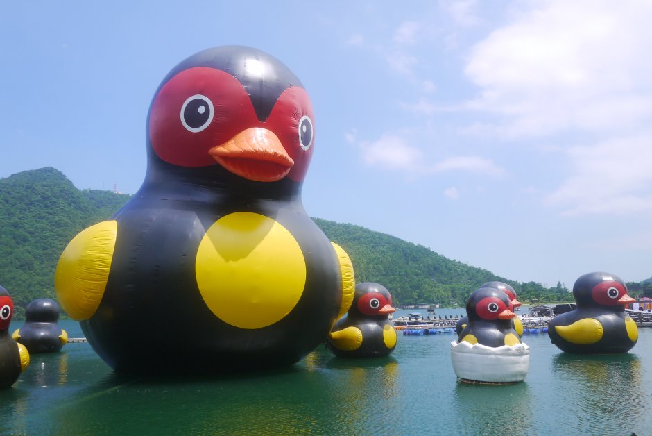 鯉魚潭 攝影：旅遊王攝影組